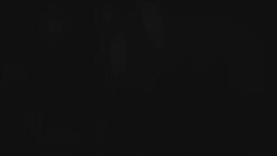 ژوند په امریکا کې