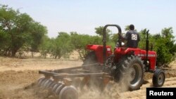 FILE - A farmer plows the field in Saulawa village, on the outskirts of Nigeria's north-central state of Kaduna.