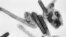 This negative stained transmission electron micrograph (TEM) depicts a number of filamentous Marburg virions. Courtesy: CDC