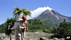Javanese women carry grass to feed their cattle as Mount Merapi spews volcanic smoke in the background in Yogyakarta, Indonesia, 20 Oct. 2010