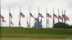 미국 워싱턴 D.C.의 내셔널몰에 신종 코로나바이러스 감염증 희생자들을 추모하는 조기가 게양돼 있다. (자료사진)