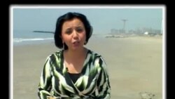 Amerikada nima sohada ish ko'p? US jobs market 