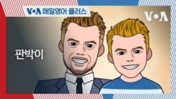 [VOA 매일 영어 플러스] 판박이