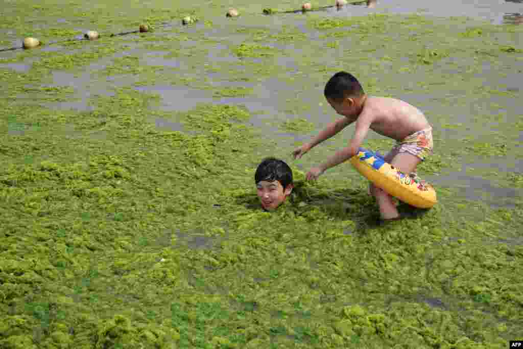 Dua anak bermain di danau yang penuh ganggang di kota Qingdao, Shandong, China.