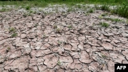 La vague de chaleur exceptionnelle en Europe entraine une sécheresse, ici de la rivière Po, en raison d'une sécheresse exceptionnelle alors que l'Italie est affectée par une vague de chaleur, le 23 juin 2017, près de Piacenza au nord de l'Italie.