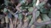 FILE - Young boys sit with their rifles Pibor, South Sudan, Feb. 10, 2015. U.N. officials say an estimated 30,000 people in the area have been displaced after days of deadly violence involving two ethnic groups, in December 2022.