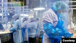 Toko eceran daging harus menerapkan prosedur untuk menjaga kesehatan para pekerjanya (foto: ilustrasi).