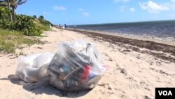 Garbage on the beach at Key Biscayne