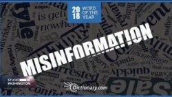 Lingvisti: Riječ „pogrešna informacija” najbolje rezimira 2018.