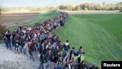 移民跋涉进入斯洛文尼亚。（2015年10月20日）