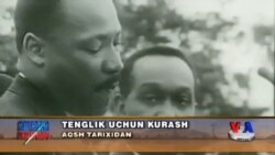 Amerikada irqchilikka qarshi kurash tarixidan - Civil rights pioneers