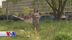 Muhojir sportchi Amerika sharafi uchun yuguradi