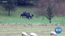 A Royal Mess: Britain's Monarchy Faces Biggest Crisis Since 90s