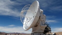 Quiz - Amazon Reaches for the Stars