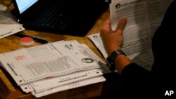 Democratic Party of Hawaii staff tabulate presidential primary ballots in Honolulu, May 22, 2020. The party released results May 23, showing that former Vice President Joe Biden won over Vermont Senator Bernie Sanders.