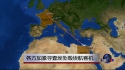各方加紧寻查坠毁埃航客机