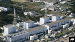 Fireworks explode over and around the Sydney Harbour Bridge and Sydney Opera House during new year celebrations in Australia, January 1, 2013.