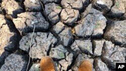 Efeito da seca. (Foto de arquivo)