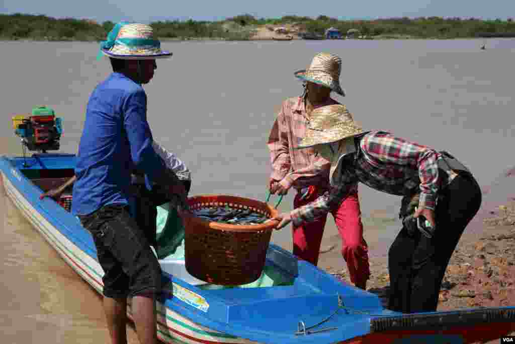 ប្រជានេសាទ​លើក​កន្រ្តក​ត្រី​ចេញ​ពី​ទូក​នេសាទ​ ដើម្បី​យក​ទៅ​លក់​ នៅ​ឃុំ​ចុង​ឃ្នាស​ ខេត្ត​សៀម​រាប​ កាល​ពី​ថ្ងៃ​ទី៤ ខែ​ធ្នូ​ ឆ្នាំ​២០១៥។ (នូវ​ ពៅ​លក្ខិណា/VOA)&nbsp;