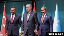 የኢትዮጵያ ጠቅላይ ሚኒስትር ዐቢይ አህመድ፣ የቱርኩ ፕሬዝዳንት ሬሲፕ ጣይብ፣ የሶማሊያ ፕሬዝዳንት ሀሰን ሼክ ማህሙድ፣