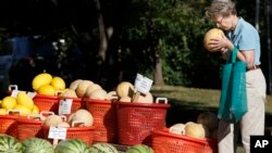 FILE - A shopper inspects fresh-picked melons and other summer garden vegetables are displayed for sale at a farmers market in Falls Church, Va., Aug. 8, 2015.