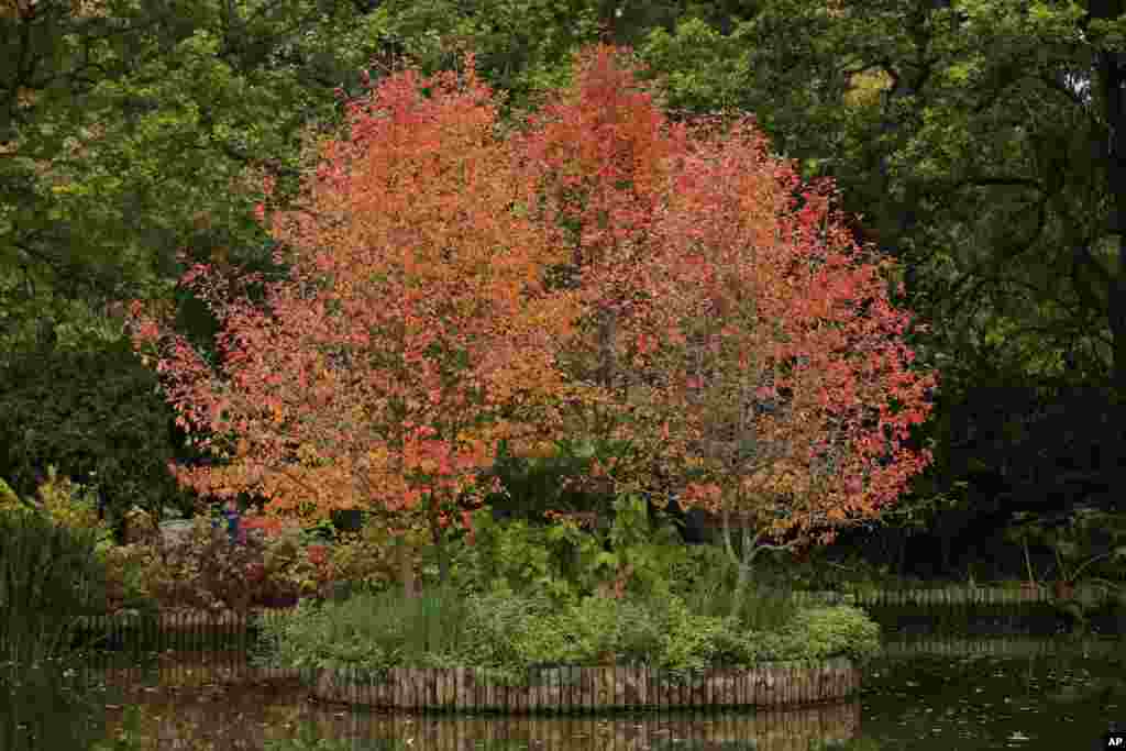 ბრიტანეთი