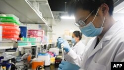 This picture taken on May 14, 2020 shows researchers at Peking University's Beijing Advanced Innovation Center for Genomics conducting tests at their laboratory in Beijing.