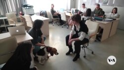 Freeze on U.S. foreign aid sends shockwaves through Ukraine