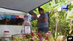 Dalam gambar dari video ini, seorang wanita berdoa di depan potret anaknya yang tewas karena campak di Apia, Samoa. Samoa menutup semua sekolahnya, 18 November 2019, dan mengamanatkan agar semua orang mendapat vaksinasi. (Foto: AP)