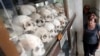 Tourists visit a memorial with the skulls of more than 8,000 victims of the Khmer Rouge regime located on outskirts of Phnom Penh, Cambodia, Oct. 16, 2013. 
