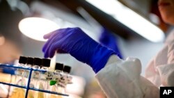 FILE - A microbiologist works with tubes of bacteria samples in an antimicrobial resistance and characterization lab within the Infectious Disease Laboratory at the Centers for Disease Control and Prevention in Atlanta.