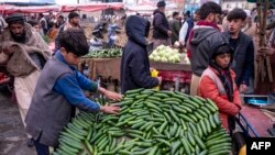 Seorang anak laki-laki Afghanistan menjual mentimun di Kabul pada 10 Maret 2024.