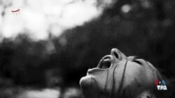 اکران: مسیر رشد یک فیلمساز مستقل؛ همایون مبارکی