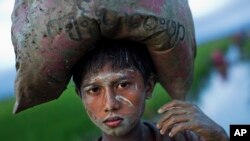 ក្មេង​ប្រុស​រ៉ូហ៊ីងយ៉ា​ក្នុង​ប្រទេស​មីយ៉ាន់ម៉ា​ម្នាក់​ទូល​បង្វិច​នៅ​លើ​ក្បាល​ដើរ​កាត់​វាលស្រែ បន្ទាប់​ពី​ឆ្លង​កាត់​ព្រំដែន​បង់ក្លាដែស កាលពី​ថ្ងៃទី១ ខែកញ្ញា ឆ្នាំ២០១៧។