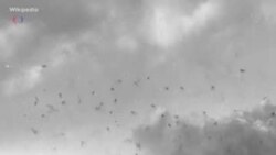 Помним Перл-Харбор