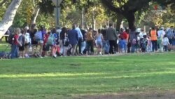 Աշխարհի ավելի քան 40 երկրների հարյուր հազարավոր աշակերտներ են միացել< Քայլիր դեպի դպրոց > արշավին