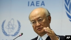 Kepala Badan Energi Atom Internasional (IAEA) Yukiya Amano (Foto: dok).