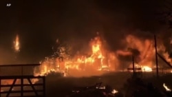 西部野火肆虐 政府民间联手正本清源