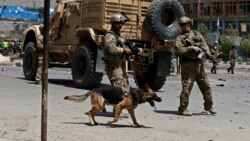 Obama Afg'onistonda qo'shin qoldirib to'g'ri qildimi? - Shohruh Hamro