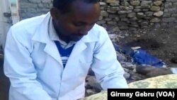 ተመራማሪ ንጉስ ገብረ መድህን