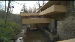 Fallingwater: Landmark AS, Padukan Desain Kontemporer dan Alam