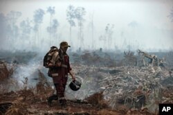 Seorang petugas pemadam kebakaran berjalan di lapangan saat asap mengepul dari pohon-pohon yang terbakar di Taman Nasional Sebangau, Kalimantan Tengah pada 2019. Asap kebakaran itu menyelimuti sebagian wilayah Indonesia, Singapura, Malaysia, dan Thailand selatan. (Foto: AP)