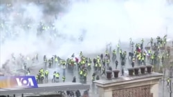 შეჯამება: 2018 წელს ევროპაში პოპულისტური ძალები გაძლიერდა