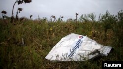 A piece of wreckage of the downed Malaysia Airlines flight MH17 is pictured near the village of Hrabove (Grabovo) in Donetsk region, eastern Ukraine, Sept. 9, 2014.