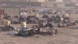 Severe Drought Threatens Food Security in War-torn Afghanistan