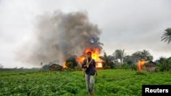 د برما د پوځ د عملیاتو له کبله څه باندې ۷ سوه زره روهینګیایي مسلمانان بنګله دیش ته کډه شوي. 