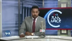 የሶሪያው ባሻር አል አሳድ አገዛዝ መውደቅ እና ዓለም አቀፋዊ አና ቀጣናዊ ውጤቱ  ሲተነተን