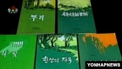 북한 문학예술출판사의 도서들. (자료사진)