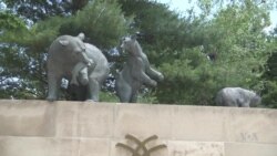 Chicago's Lincoln Park Zoo Celebrates 150th Anniversary