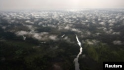 Hutan di wilayah Haute Uele, Kongo timur laut, dilihat dari udara. (Foto: Dok)